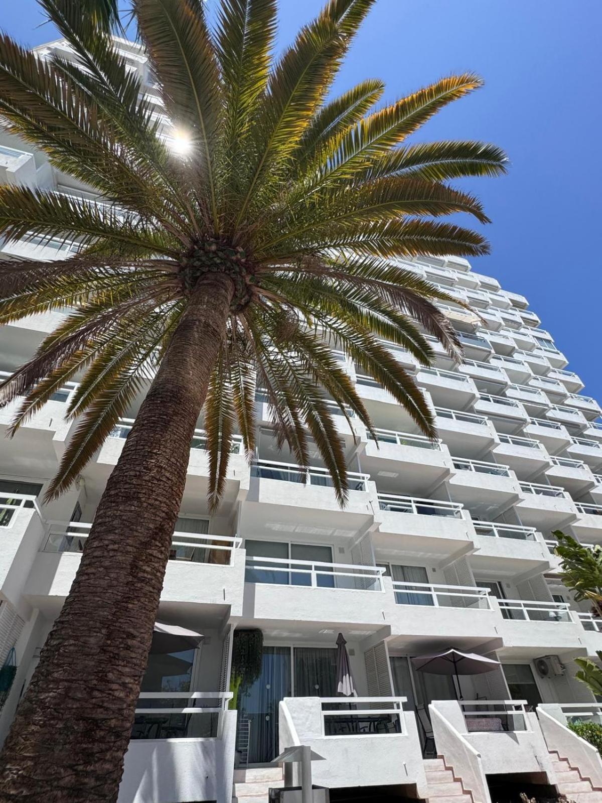 Appartement Lovely Estudio Americas, Sea View Playa Feñabe