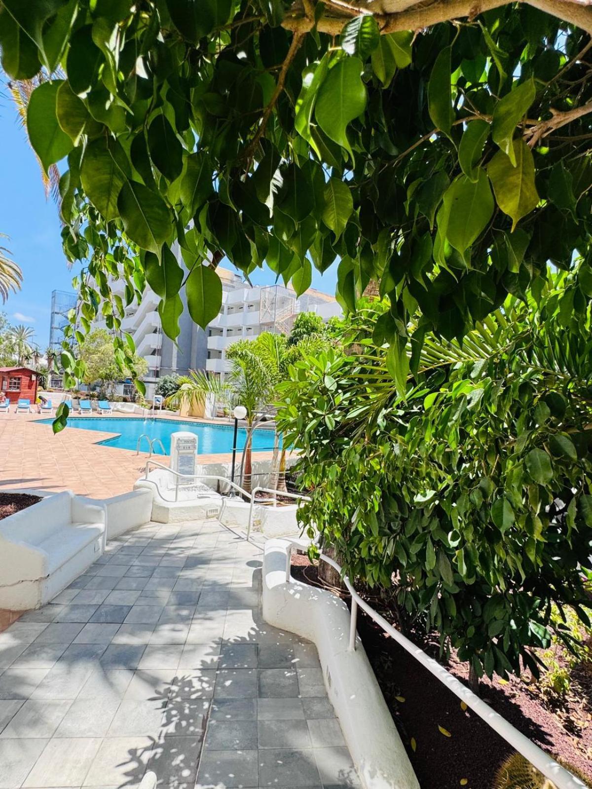 Lovely Estudio Americas, Sea View Appartement *